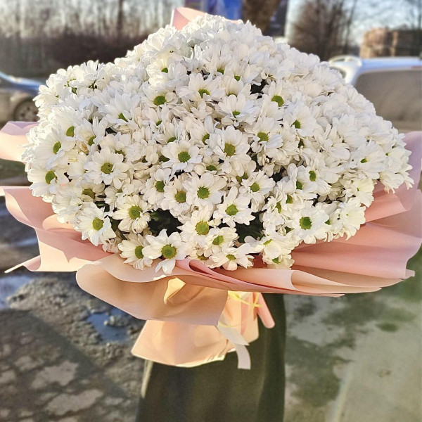Букет із 31 хризантеми