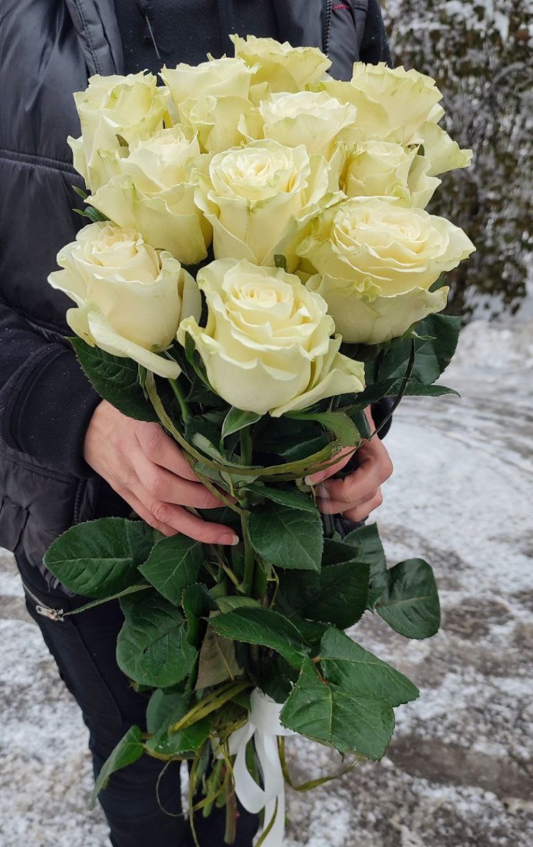 Букет із 11 білих троянд